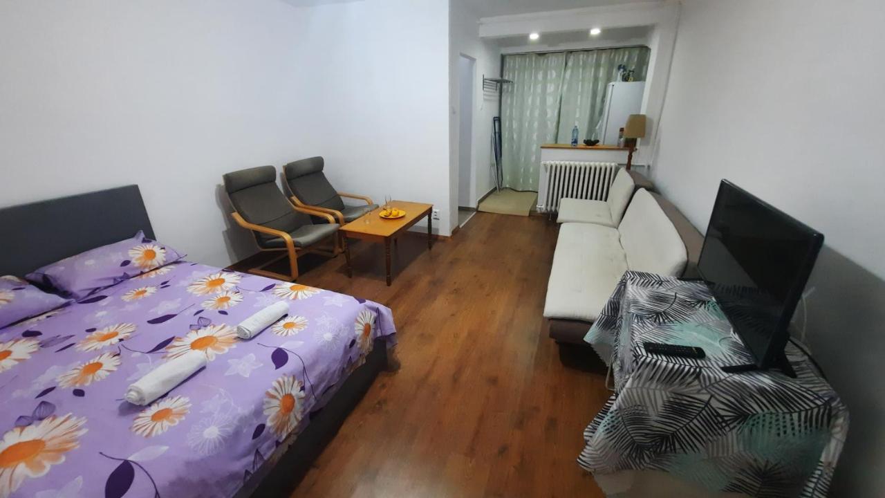 Lovely 1 Bedroom Apartment With Free Street Parking Bukurešť Exteriér fotografie